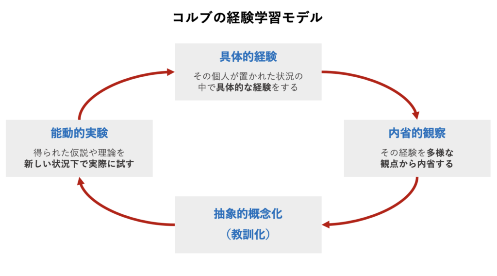 コルブの経験学習モデル